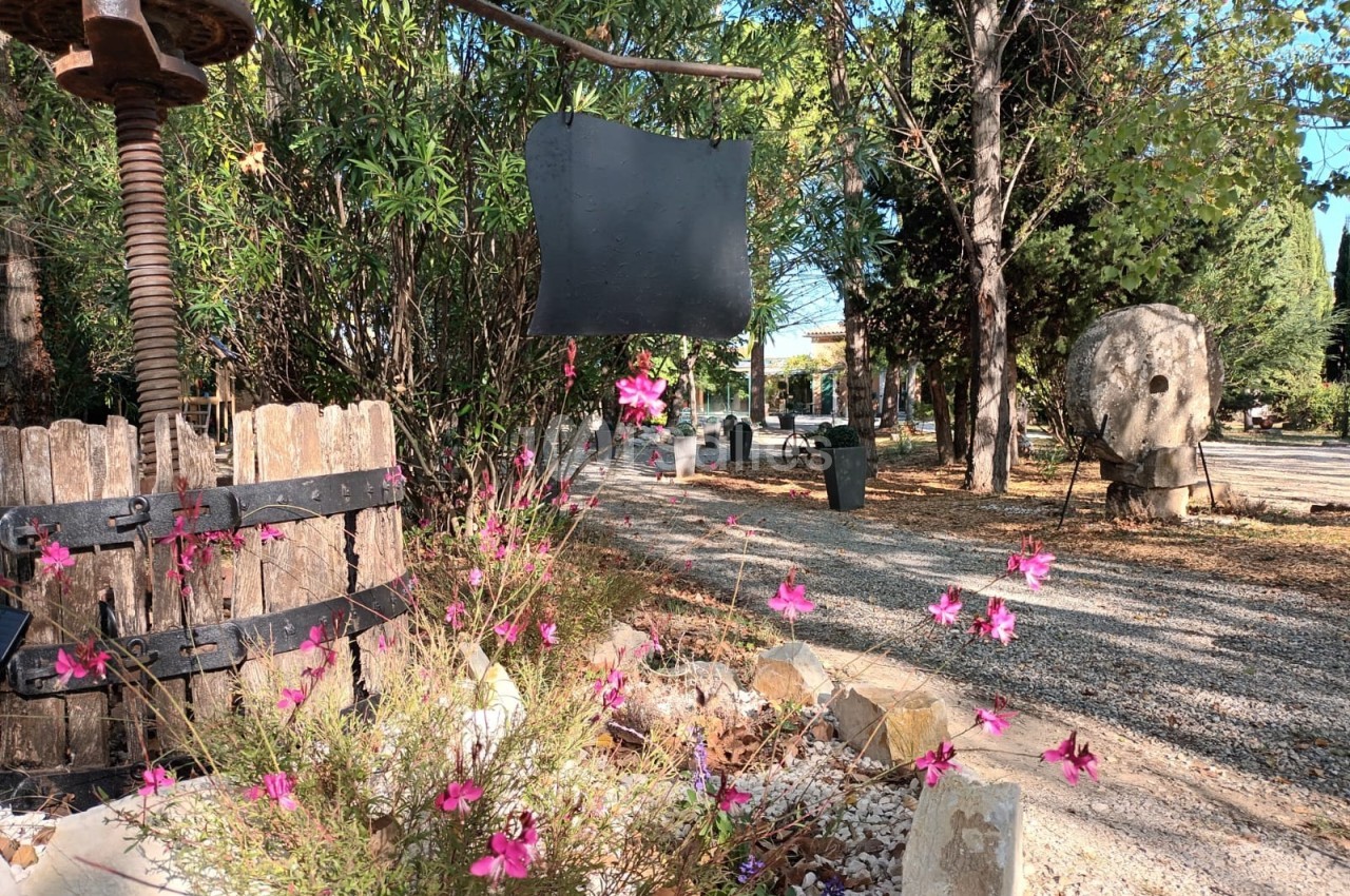 Jardin avec fleurs roses au premier plan, sentier gravillonné, arbres et éléments décoratifs en arrière-plan.
