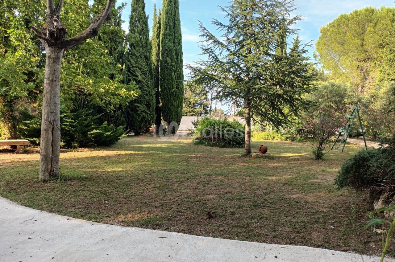 Jardin arboré avec pelouse, allée en béton, arbres variés et balançoire visible en arrière-plan.