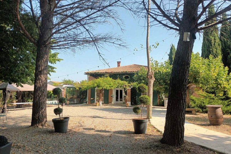 Mas des Vignes - photo 1