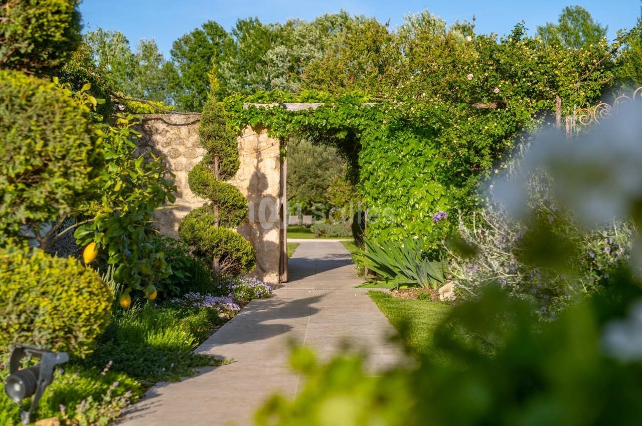 Allée bordée de végétation luxuriante menant à une arche recouverte de plantes grimpantes sous un ciel dégagé.
