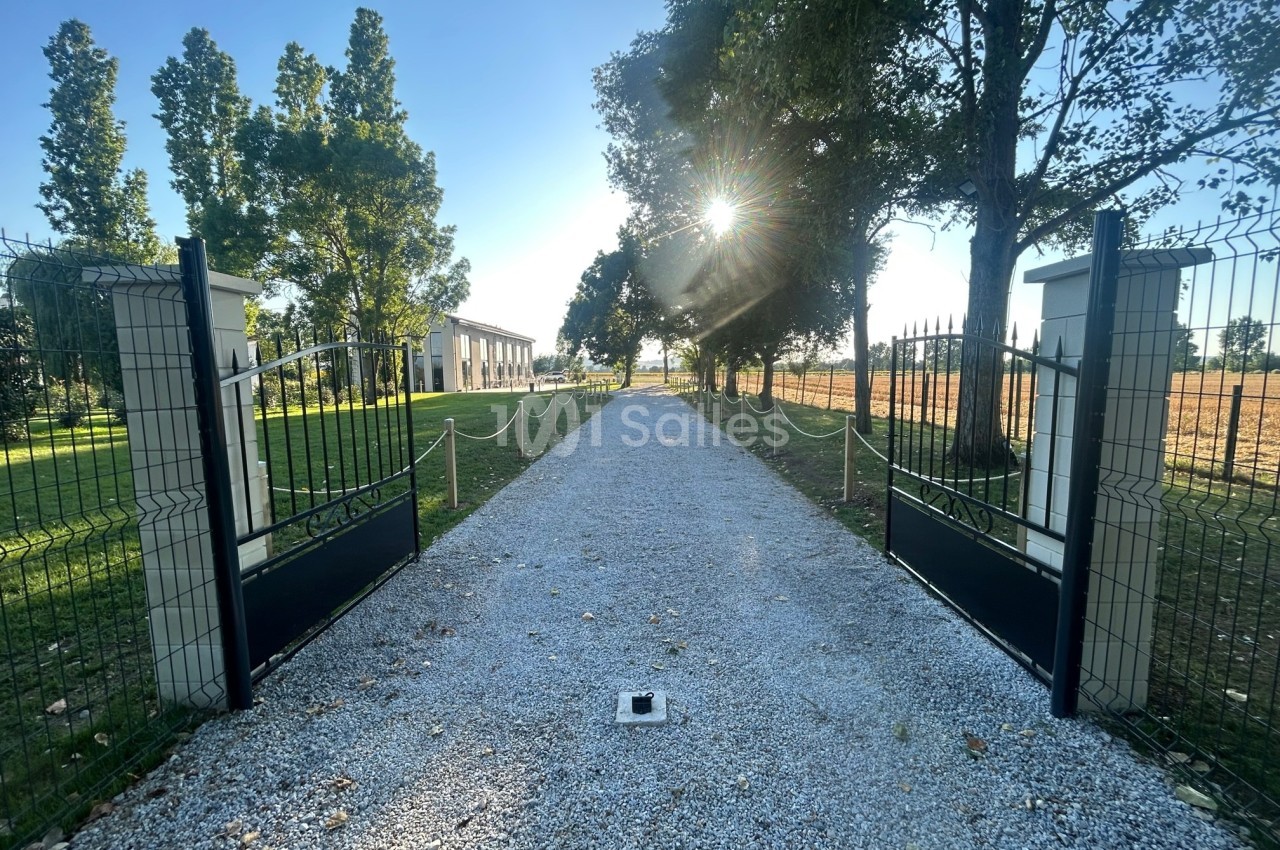 Allée gravillonnée bordée d'arbres et clôtures, menant à des bâtiments sous un ciel dégagé avec soleil bas.