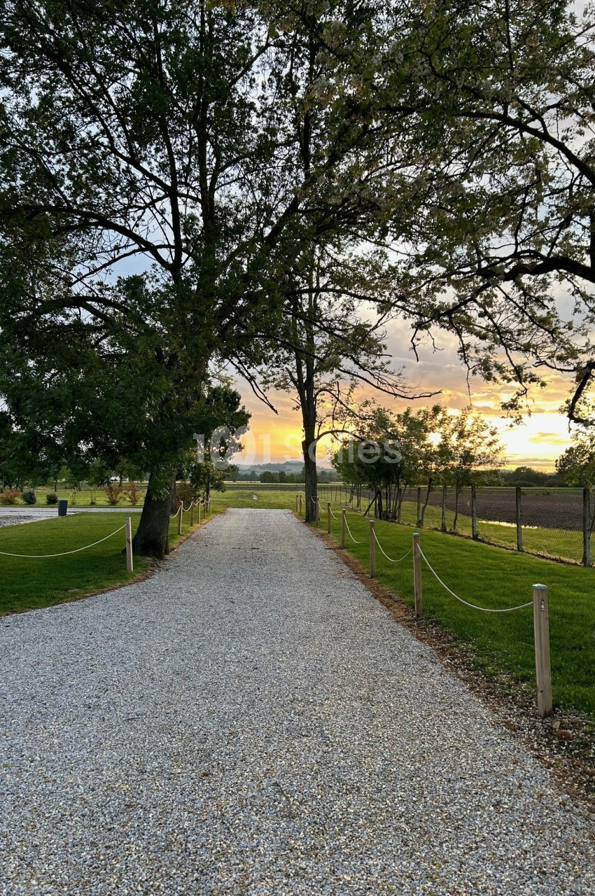 Allée de gravier bordée d'arbres et de pelouses, menant à un paysage de campagne au coucher du soleil.