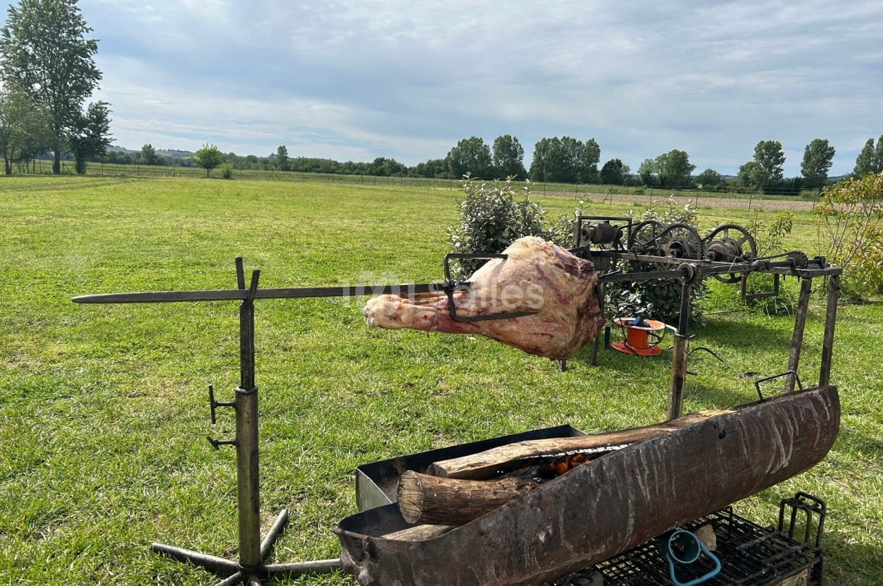 Un morceau de viande cuit à la broche au-dessus d'un feu de bois dans un champ verdoyant.
