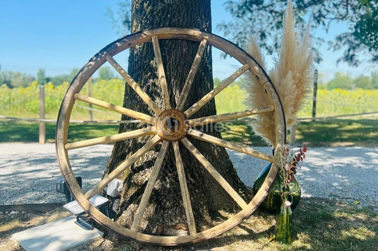 Roue en bois appuyée contre un arbre, entourée de décorations végétales et éclairée par la lumière naturelle.