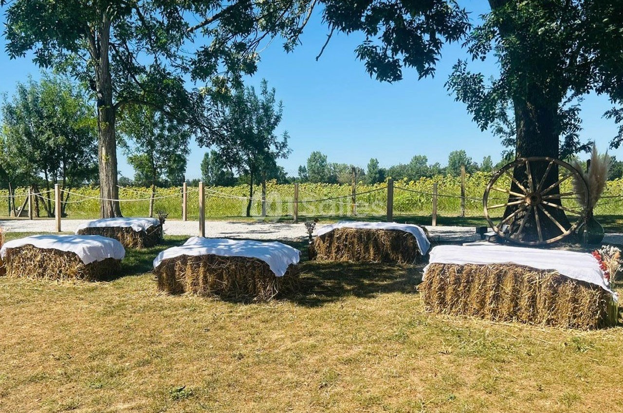 Bottes de paille recouvertes de tissu blanc disposées en sièges dans un espace extérieur bordé d'arbres et de vignes.