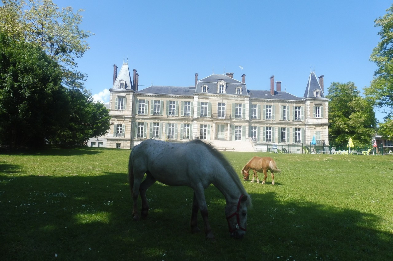 Château de L'Armançon - galerie - photo 1