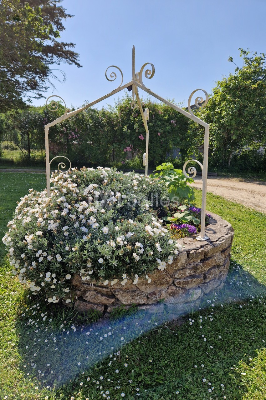 Puits en pierre entouré de fleurs blanches et colorées, avec une structure métallique décorative, dans un jardin ensoleillé.