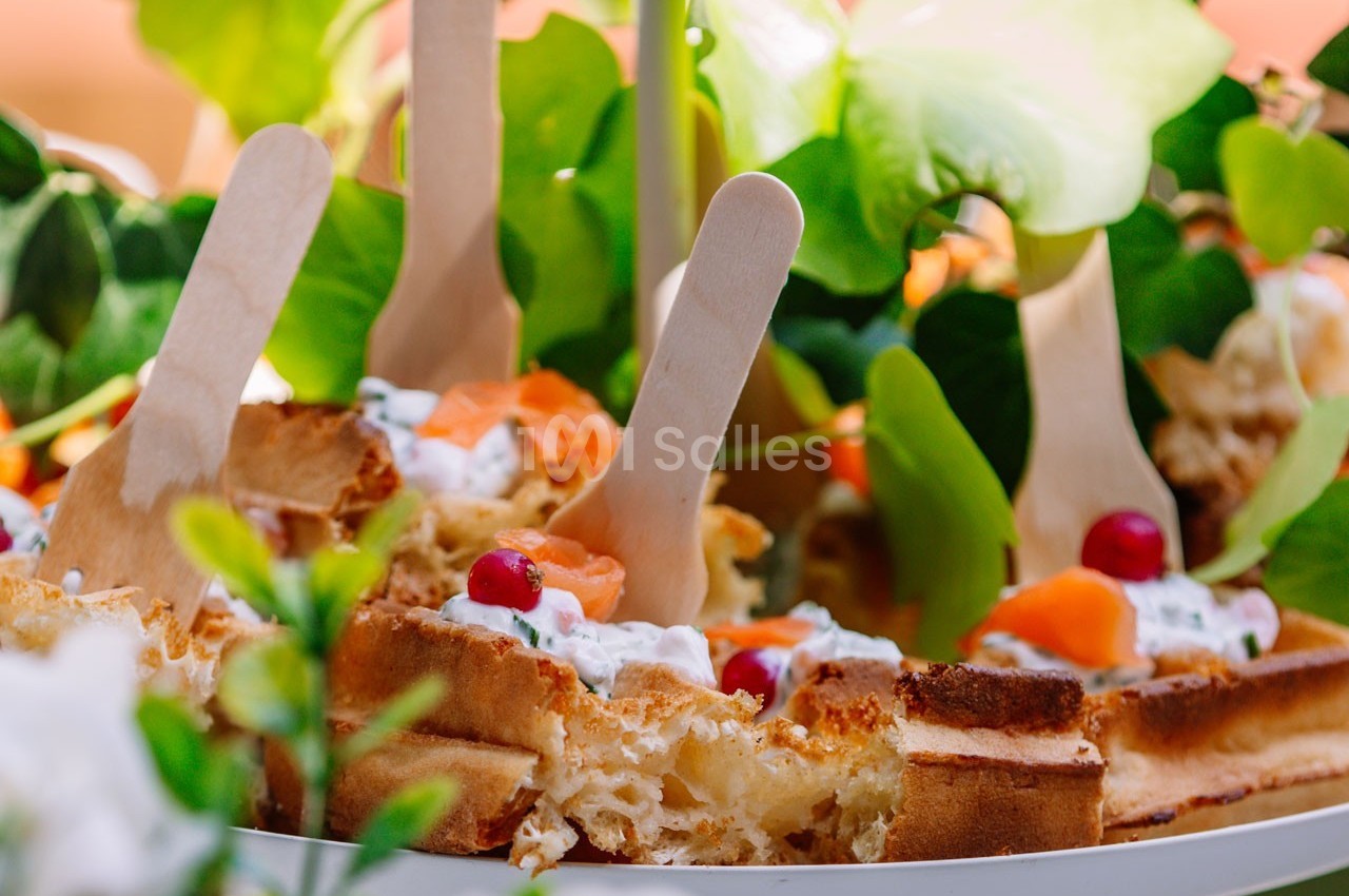 Gaufres garnies de crème, saumon, grenade et herbes, présentées avec des piques en bois sur un fond végétal.