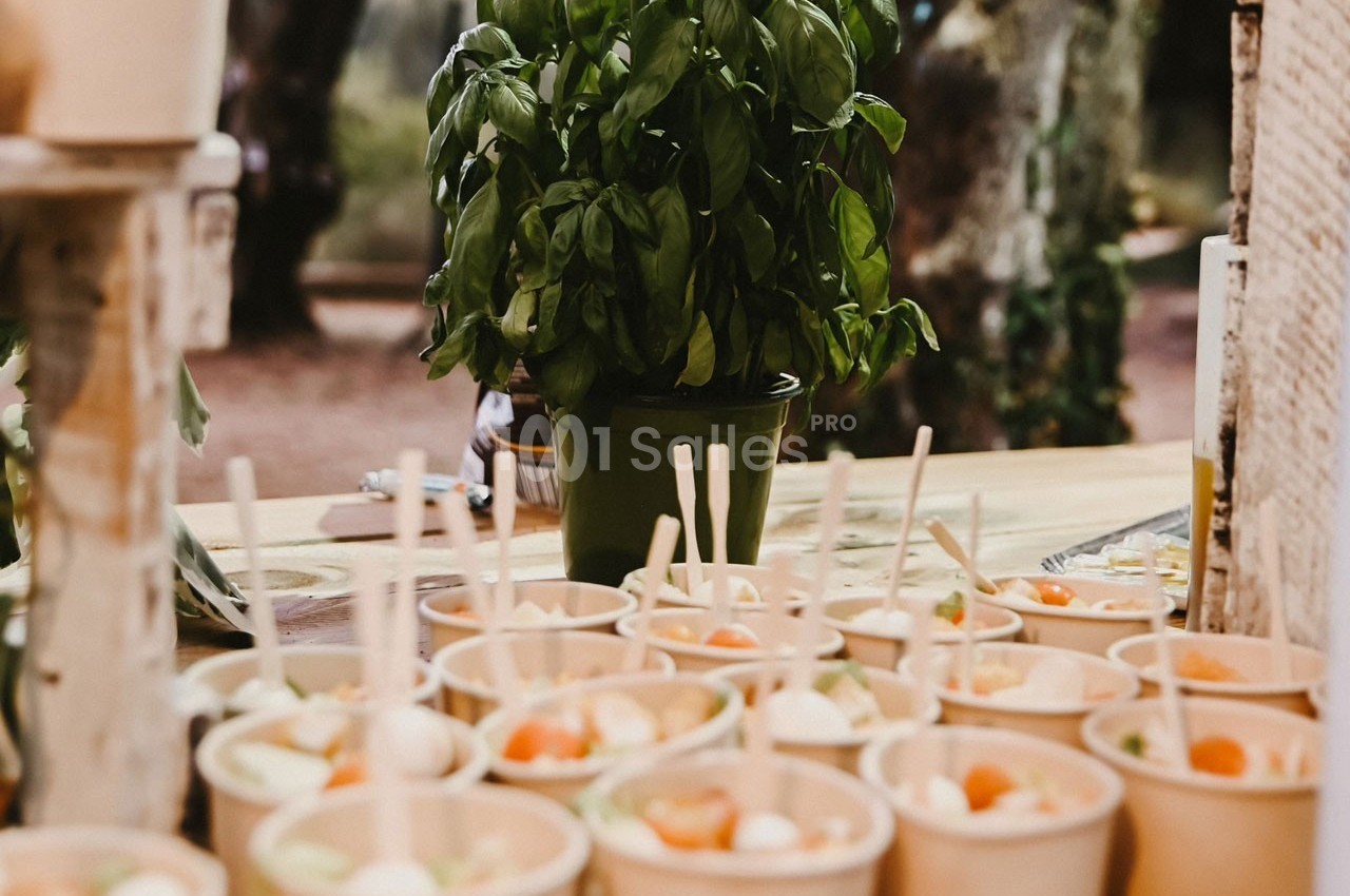 Plantes de basilic en pot derrière des bols en carton contenant des brochettes apéritives sur une table en extérieur.