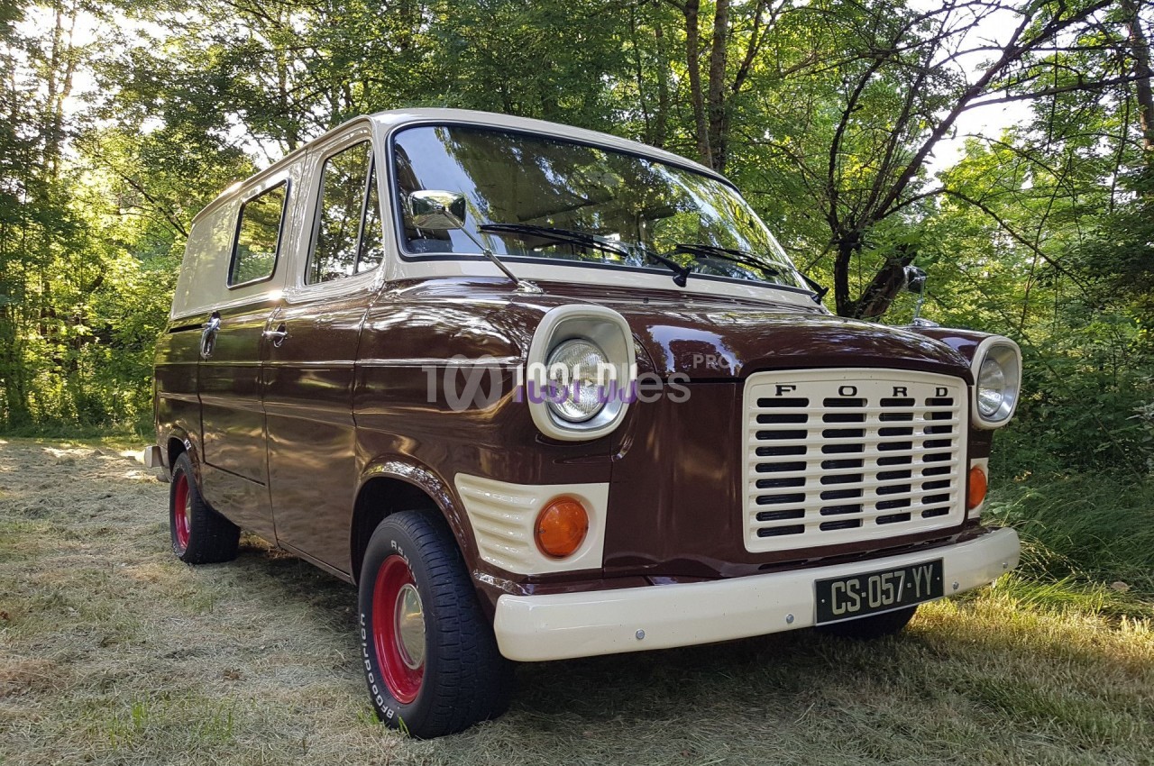 Un van vintage Ford marron et blanc stationné sur une pelouse, entouré d'arbres en arrière-plan.