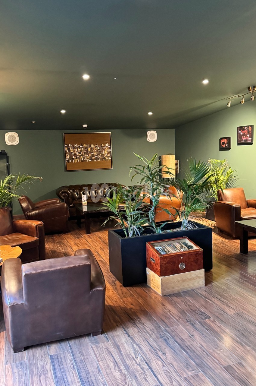 Salon chaleureux avec fauteuils en cuir, plantes vertes, parquet en bois et éclairage tamisé.