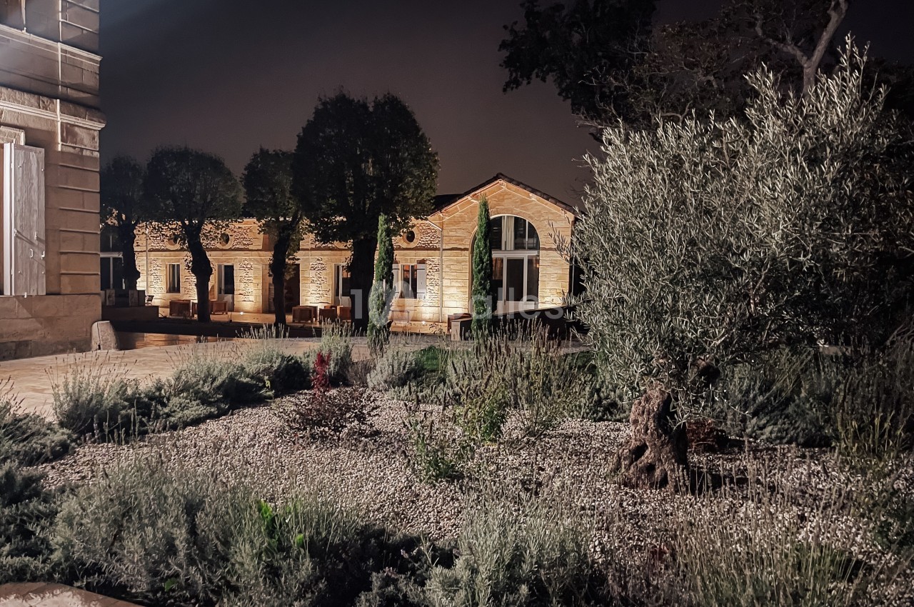 Jardin avec plantes méditerranéennes, éclairé la nuit, devant des bâtiments en pierre et des arbres taillés.