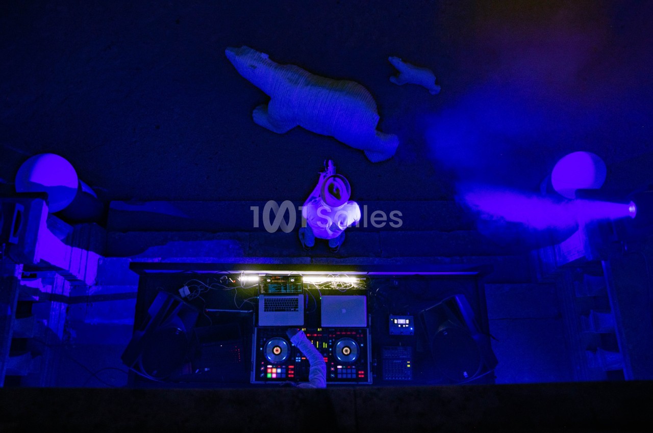 Vue aérienne d'un DJ mixant sur une table de mixage éclairée, entouré d'une lumière bleue et de sculptures d'ours polaires.