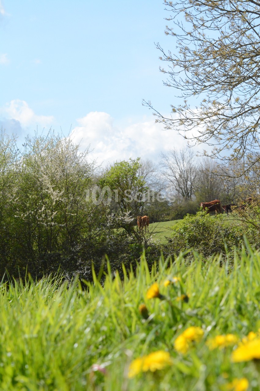 Domaine de Saint Vigor - galerie - photo 11