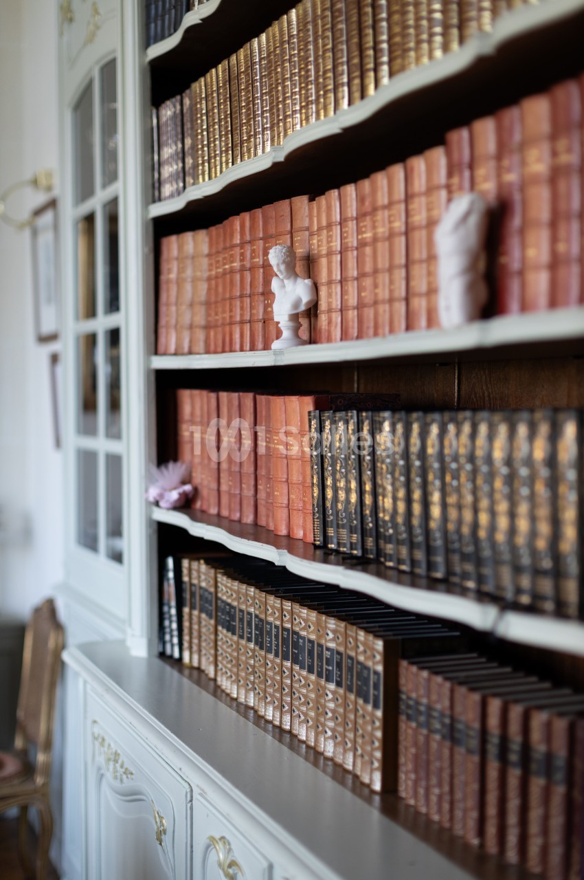 Bibliothèque avec des étagères remplies de livres anciens reliés en cuir et décorées de petites sculptures.