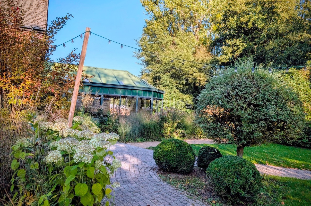 Chemin pavé serpentant dans un jardin verdoyant avec une serre en arrière-plan sous un ciel dégagé.