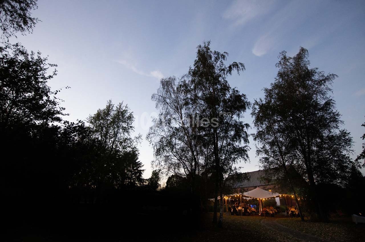 Vue d'un jardin au crépuscule avec des arbres et une tente éclairée accueillant des personnes.