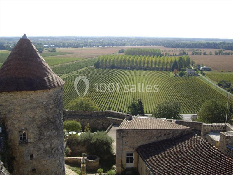 Vue aérienne d'un vignoble entouré de champs, avec une tour en pierre au premier plan et un paysage rural en arrière-plan.