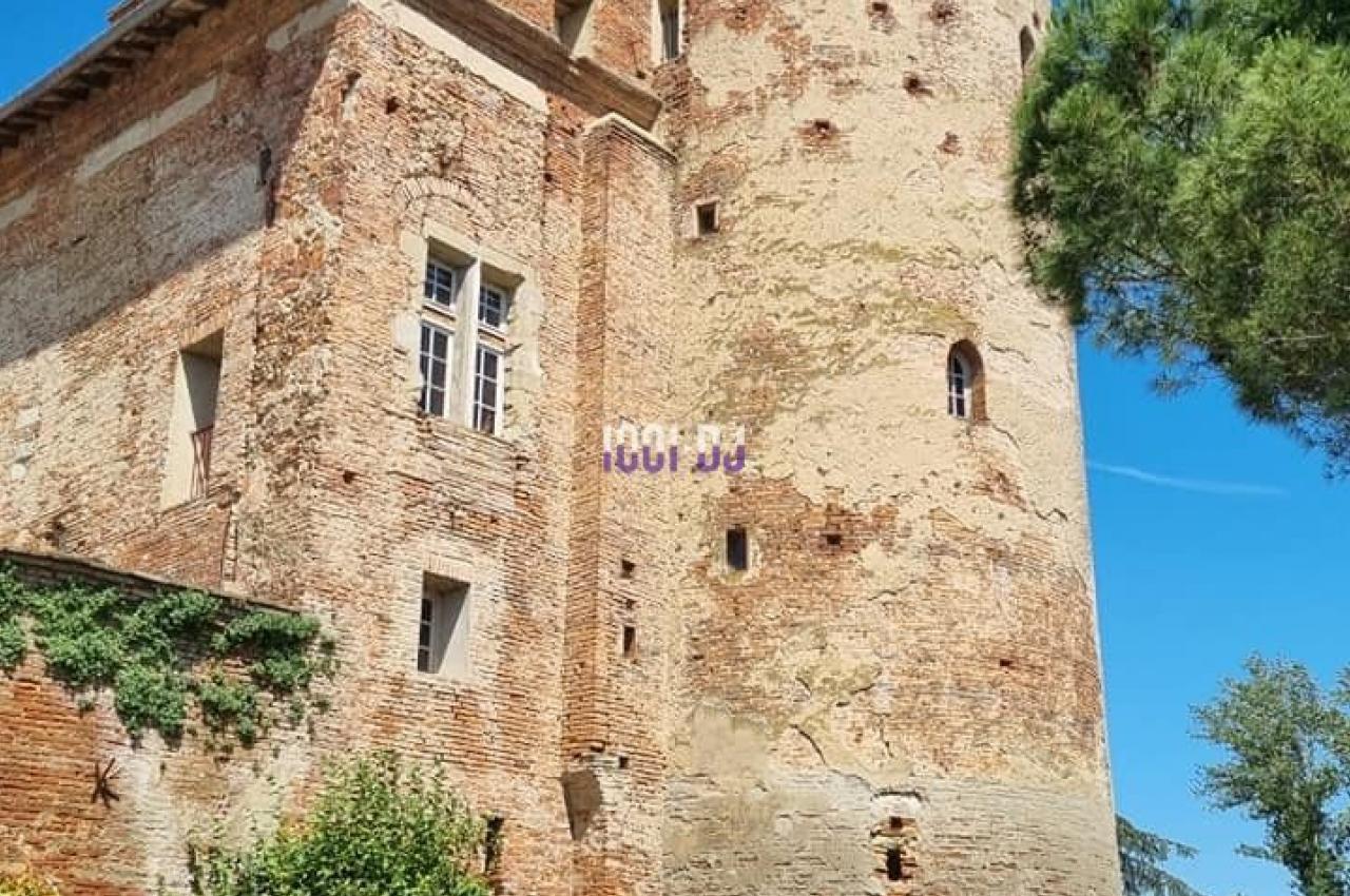 Vieille tour en briques rouges avec des fenêtres, entourée de végétation et d'un ciel bleu clair.