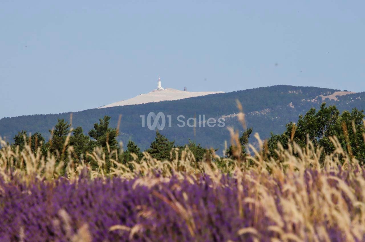 Domaine des Maillettes - galerie - photo 22