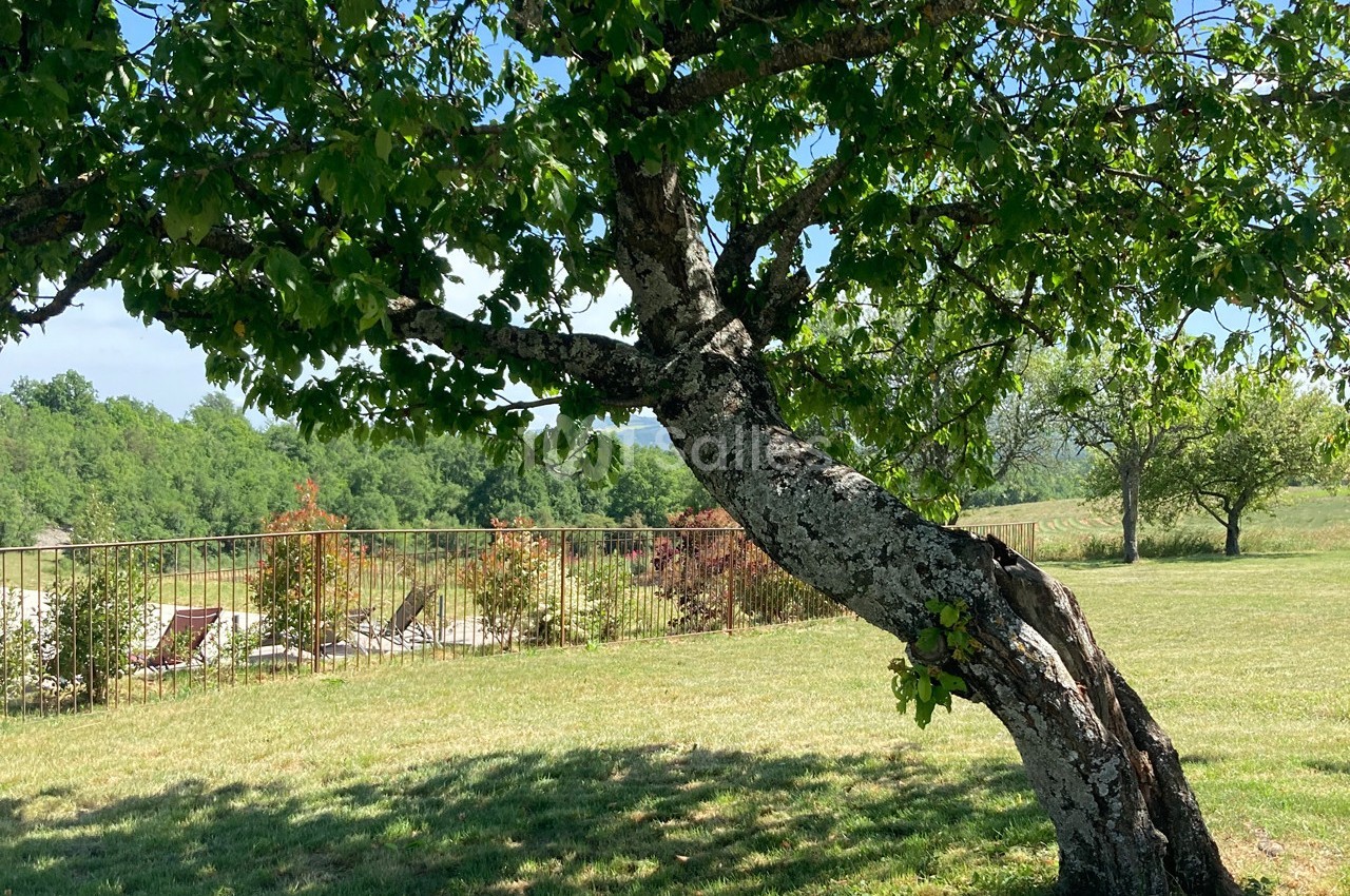 Domaine des Maillettes - galerie - photo 31