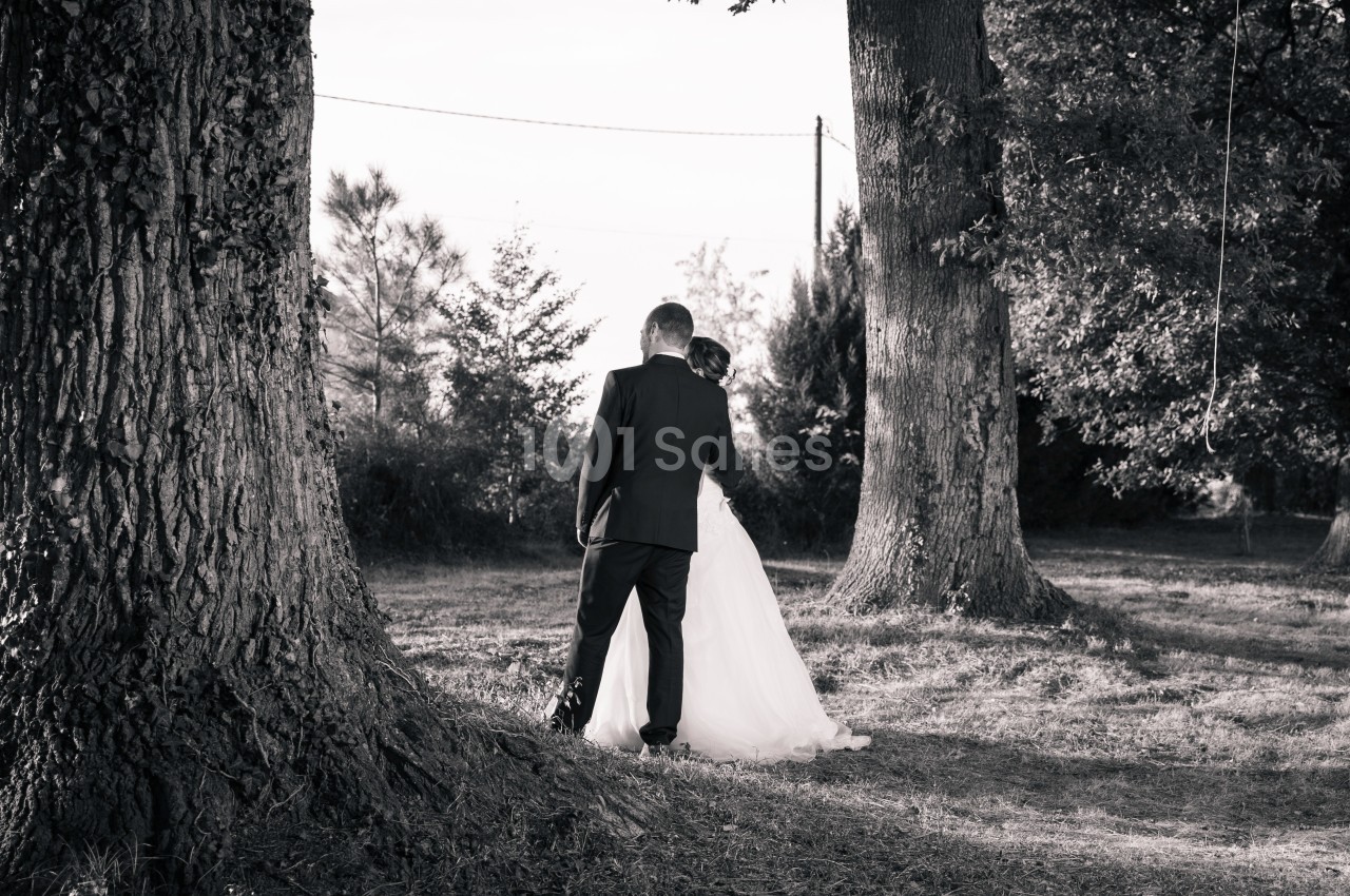 Un couple en tenue de mariage marche entre de grands arbres dans un paysage naturel, capturé en noir et blanc.