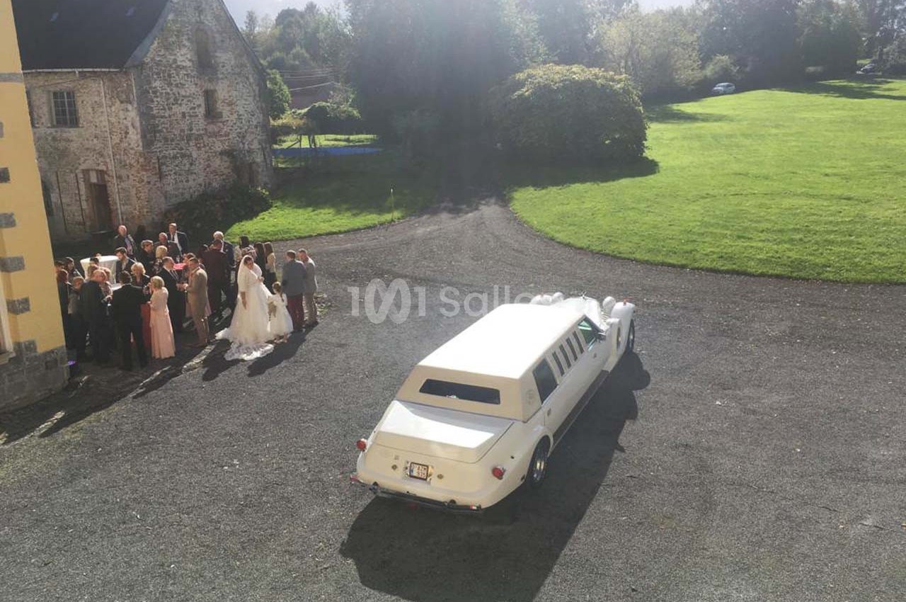 Un groupe de personnes rassemblé près d'un couple en tenue de mariage, avec une limousine blanche garée à proximité.