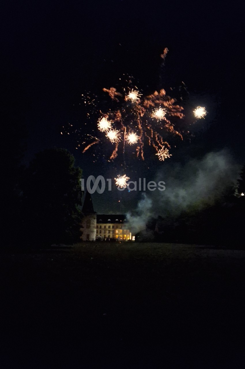 Feu d'artifice illuminant le ciel nocturne au-dessus d'un bâtiment éclairé entouré d'arbres.
