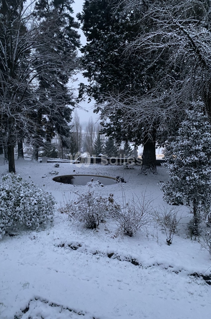 Les jardins sous la neige