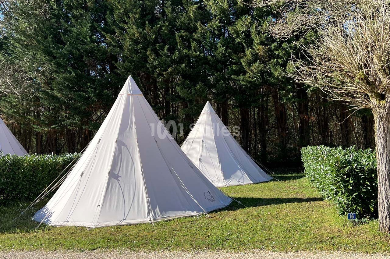 Deux tentes tipi blanches installées sur une pelouse, entourées de haies et d'arbres.