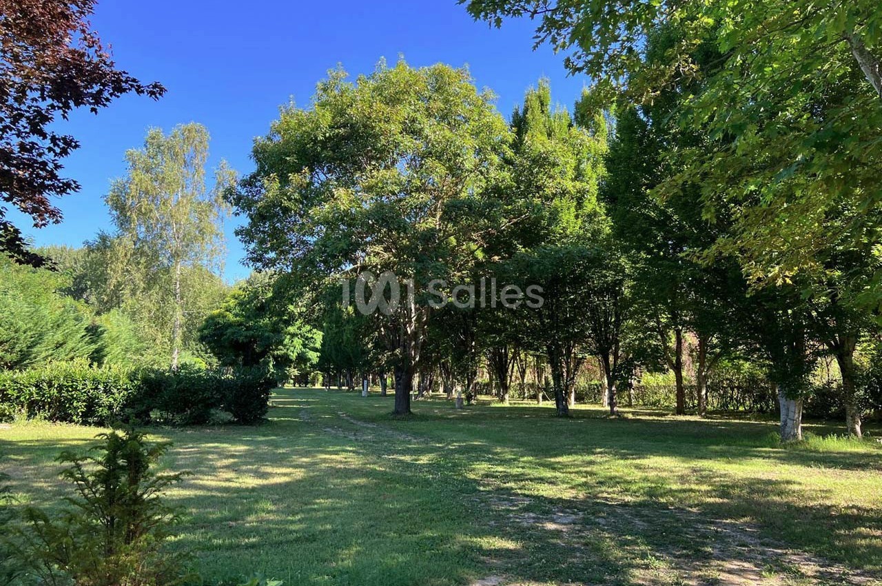 Un parc verdoyant avec des arbres variés sous un ciel bleu clair, éclairé par une lumière naturelle.