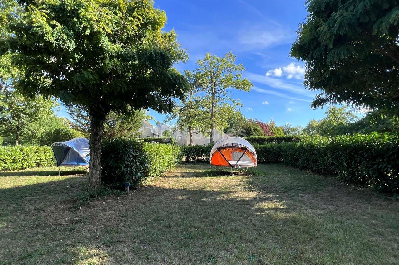 Deux tentes installées sur une pelouse entourée de haies et d'arbres, sous un ciel bleu dégagé.