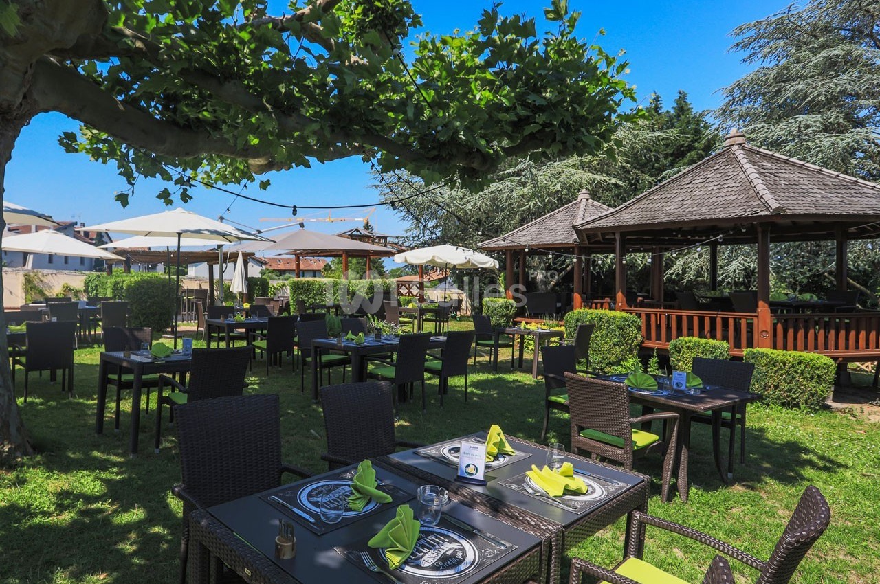 Garden & Cooking - galerie - photo 14