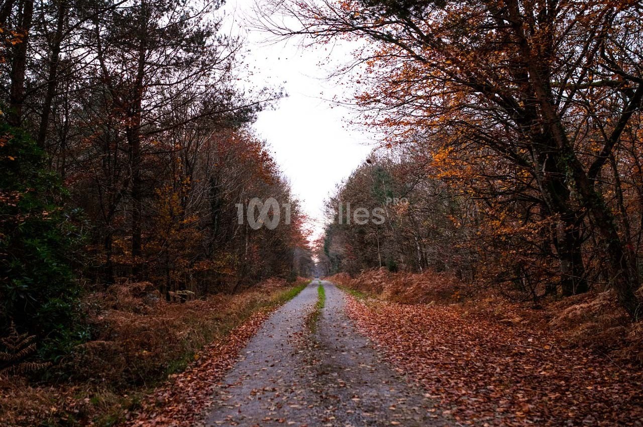 Domaine de Javardan - galerie - photo 47