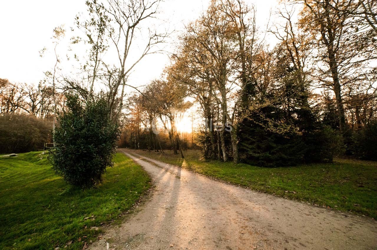 Domaine de Javardan - galerie - photo 44