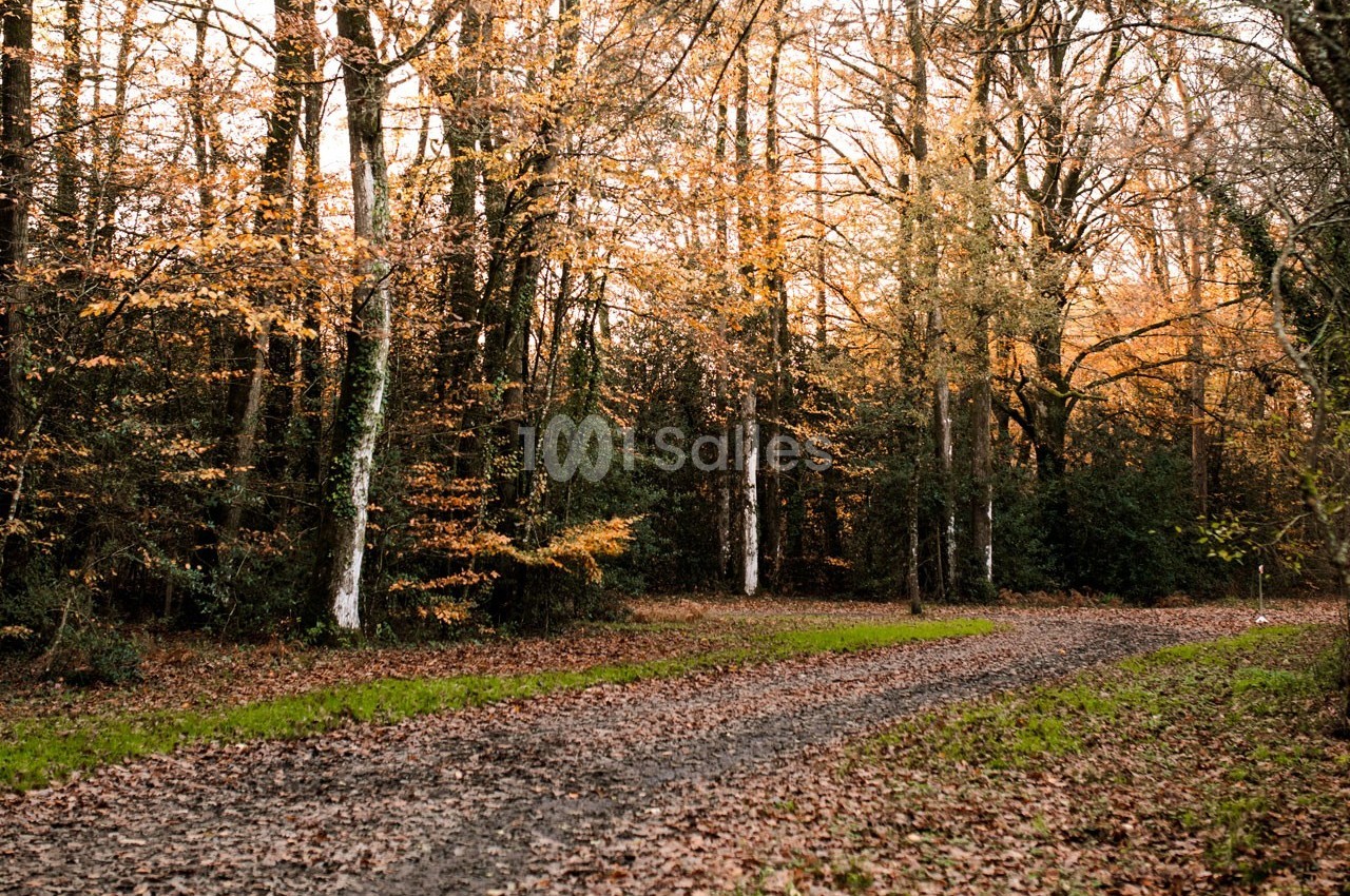 Domaine de Javardan - galerie - photo 57