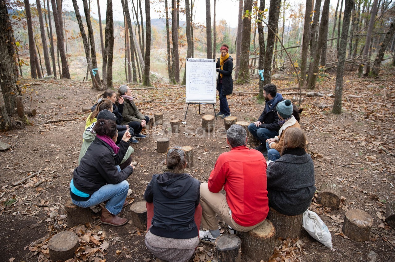 Un groupe de personnes assises en cercle sur des rondins de bois écoute une présentation en forêt.