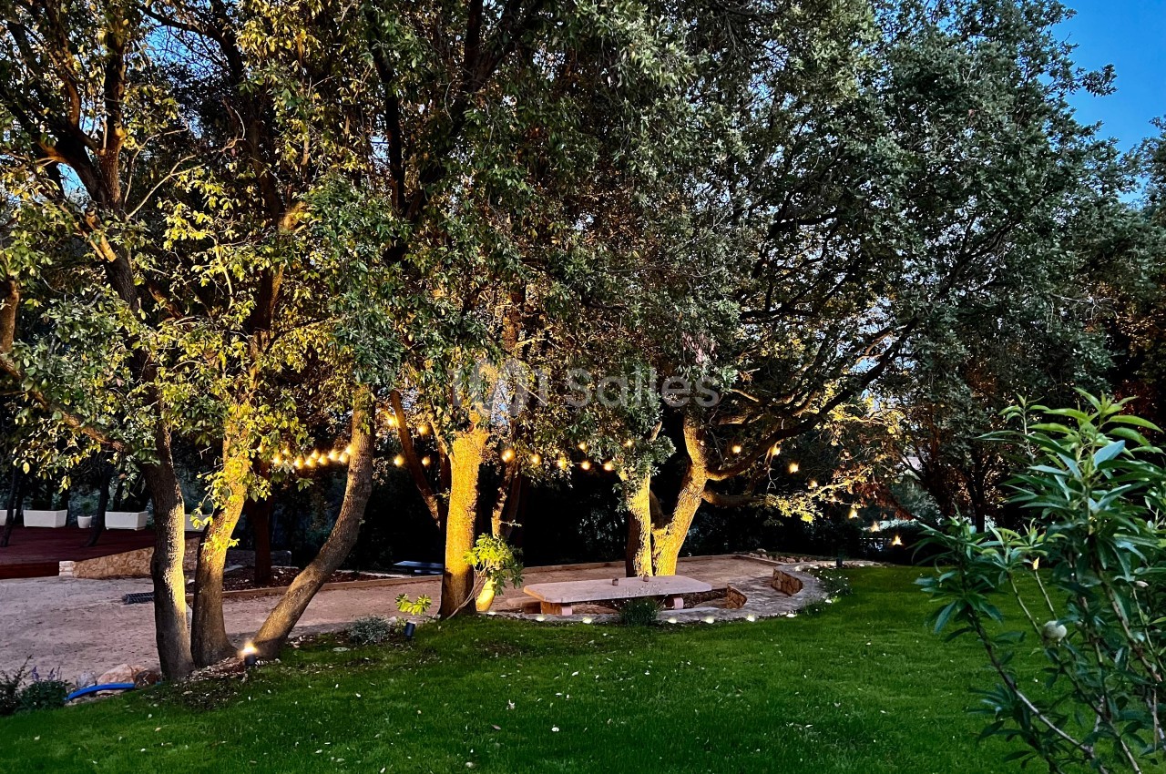 Des arbres éclairés par des guirlandes lumineuses dans un jardin en soirée, avec une pelouse et un ciel dégagé.