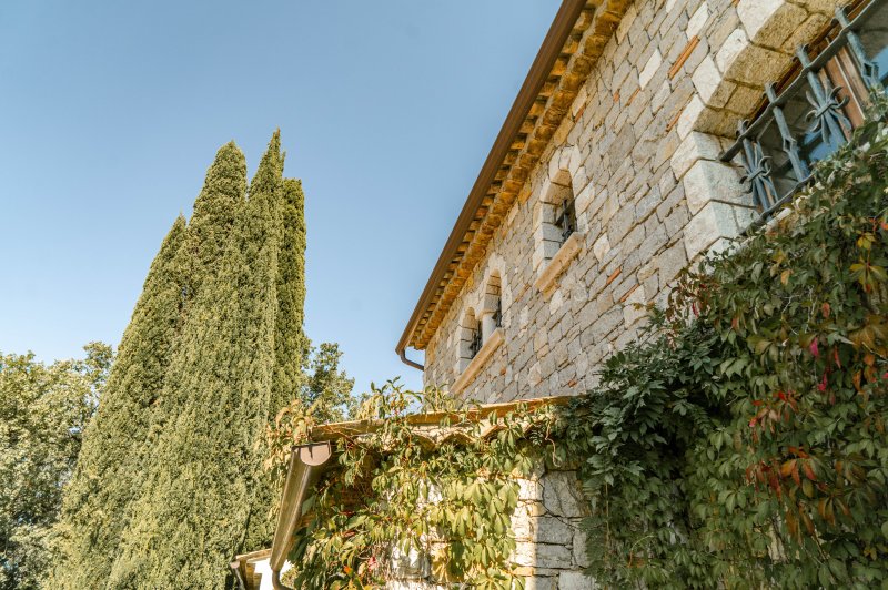 La Villa des Amandiers - photo 3