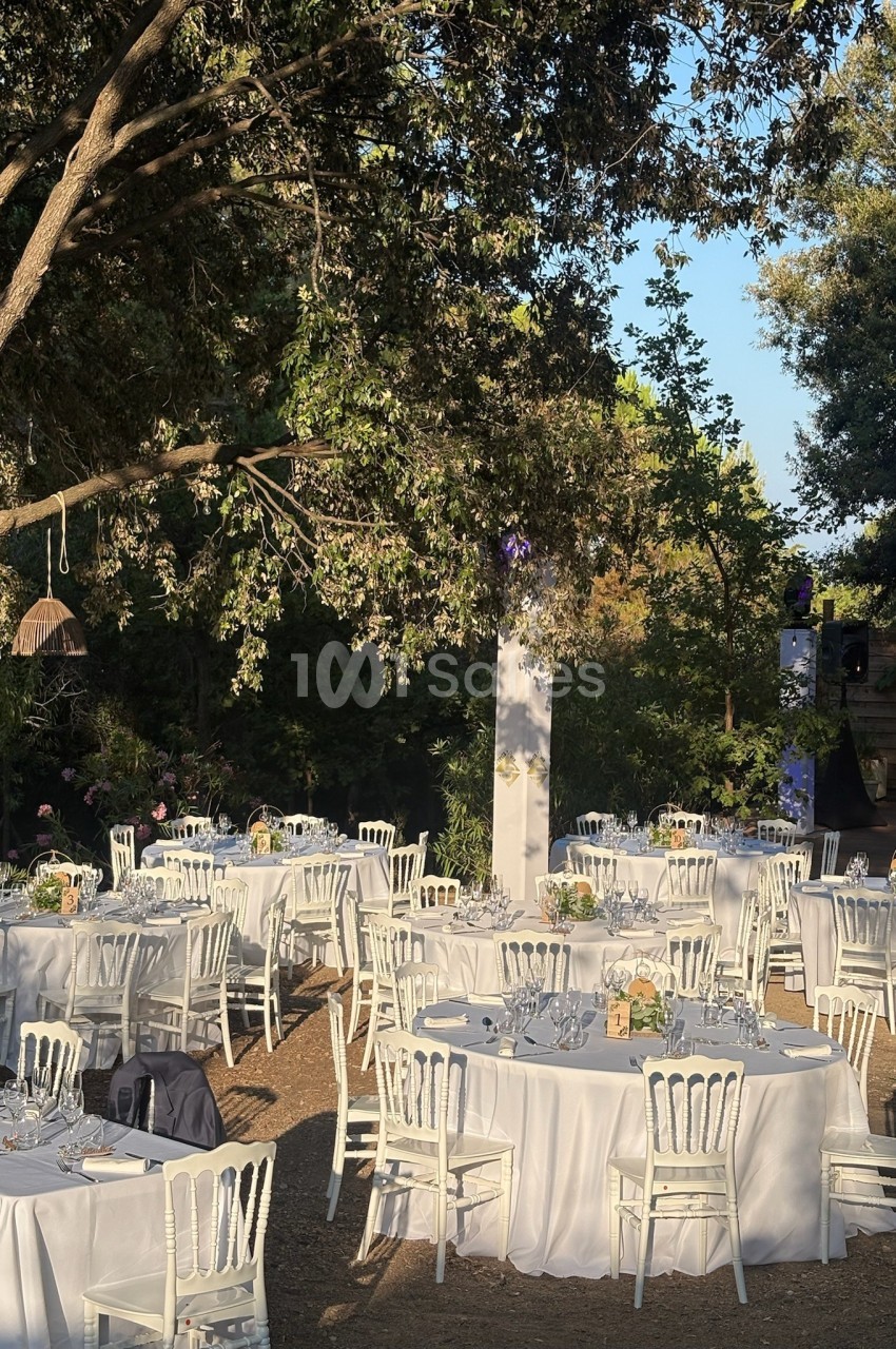 Tables rondes dressées avec nappes blanches et chaises, disposées en extérieur sous des arbres par temps ensoleillé.