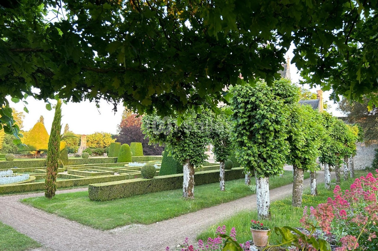 Allée bordée d'arbres taillés menant à un jardin géométrique avec buissons sculptés et parterres fleuris.