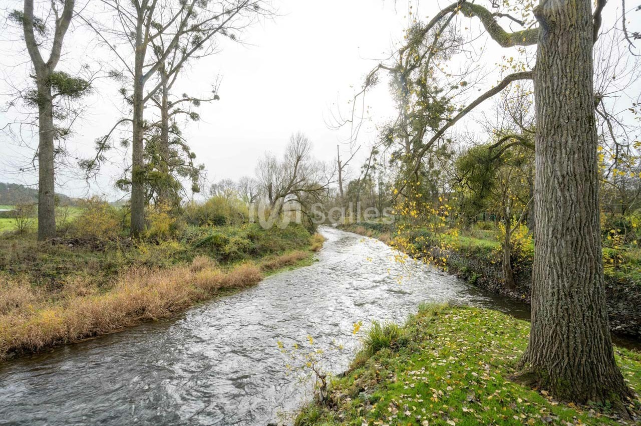 Domaine de Lomme - galerie - photo 13