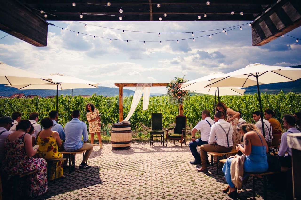 Cérémonie en plein air dans un vignoble, avec invités assis sous des parasols et une arche décorée au centre.