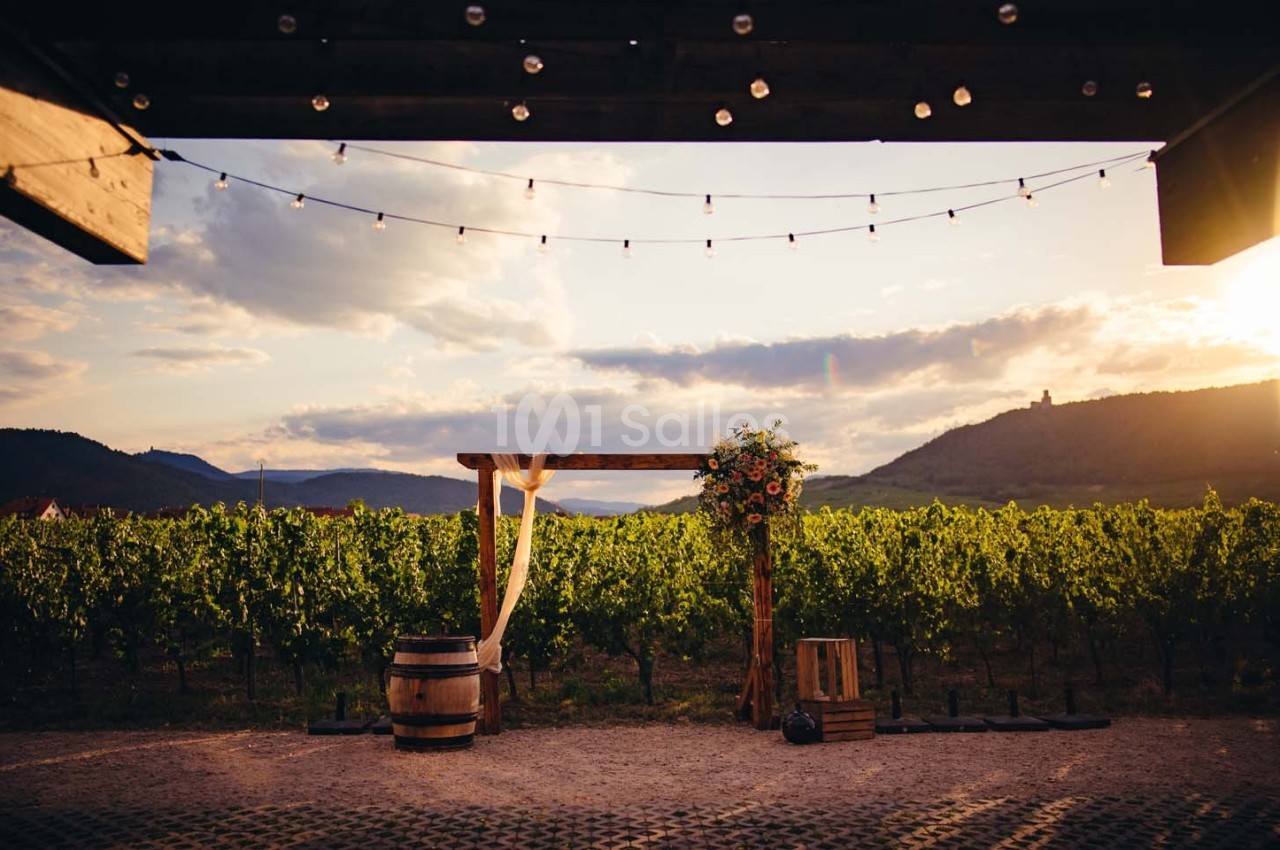 Cérémonie en plein air avec arche décorée de fleurs, tonneau et guirlandes lumineuses, au milieu de vignes au coucher du…