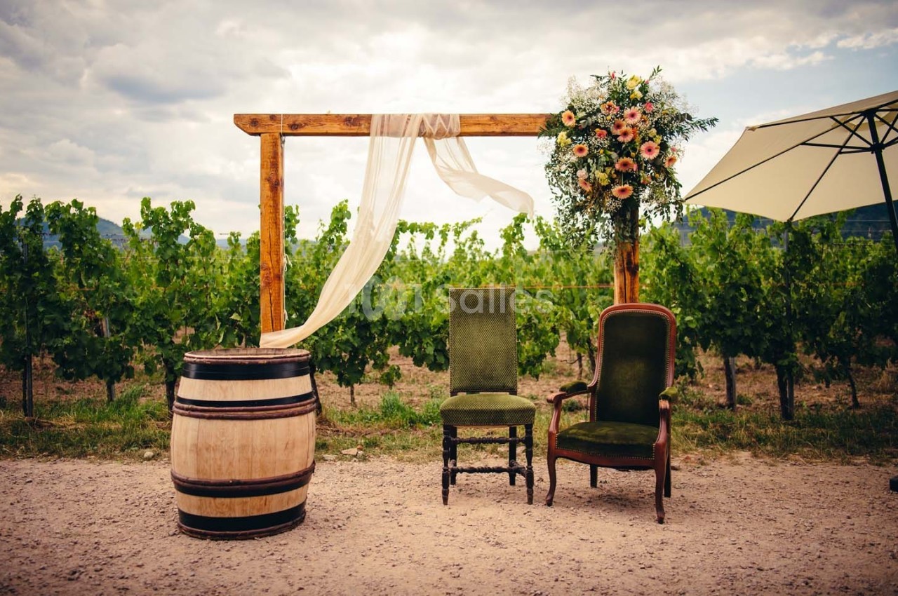 Deux chaises anciennes, un tonneau et une arche décorée de fleurs et de tissu, devant un vignoble.