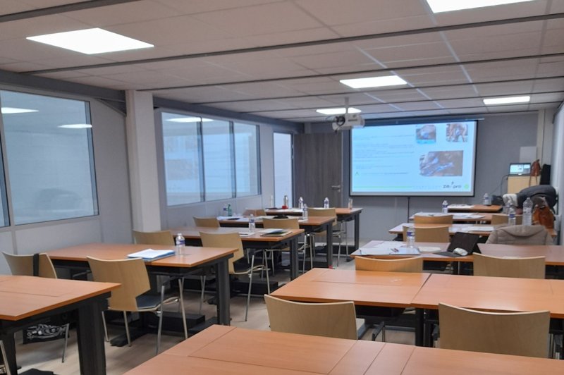 Caille Centre d'Affaires 77 - photo 4