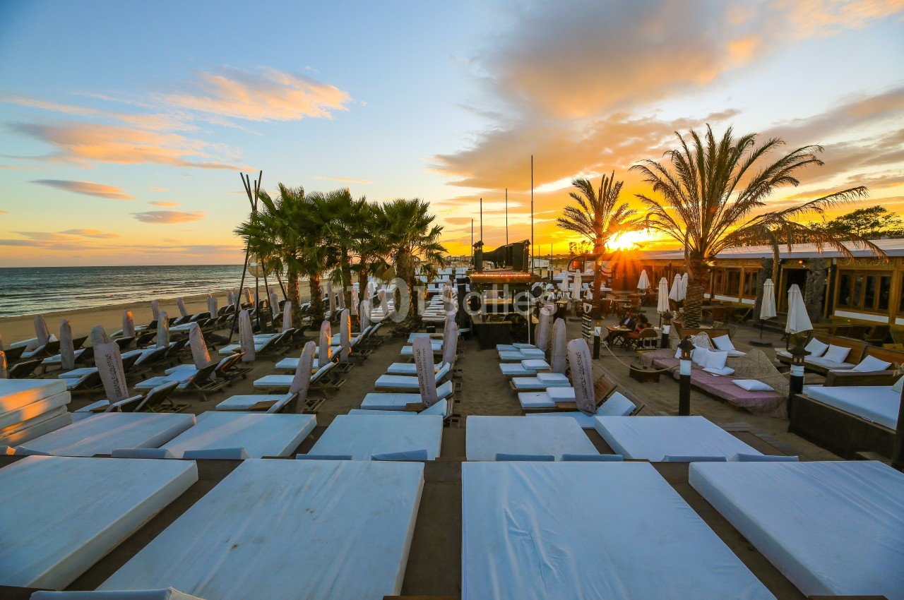 Terrasse d'une plage aménagée avec transats et parasols, bordée de palmiers, au coucher du soleil.