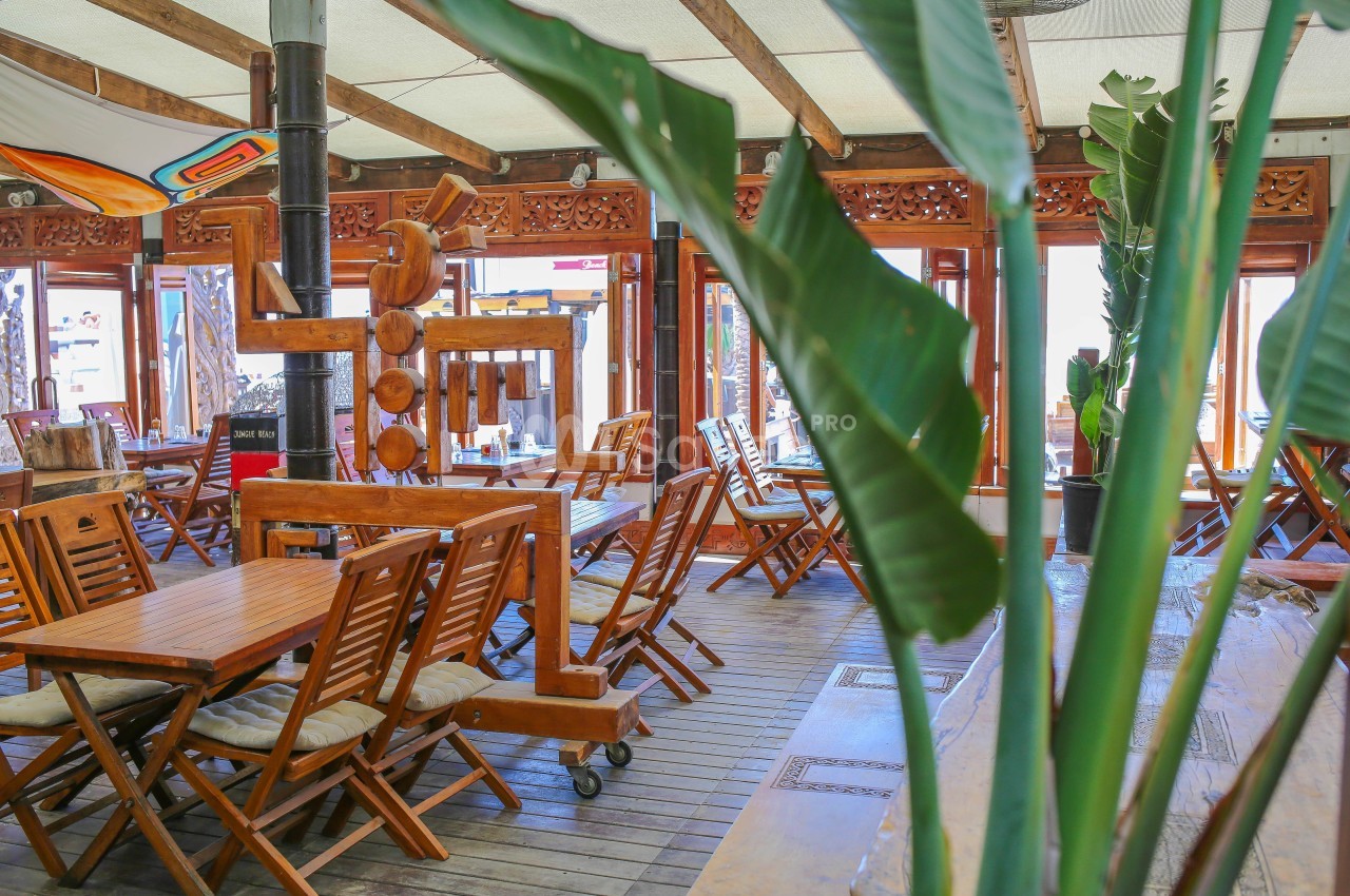Jungle Beach - galerie - photo 5