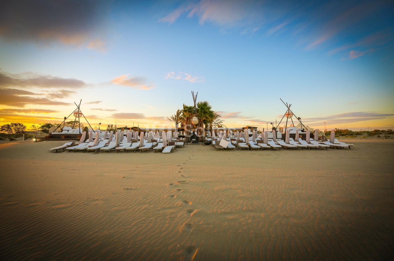 Jungle Beach - galerie - photo 13
