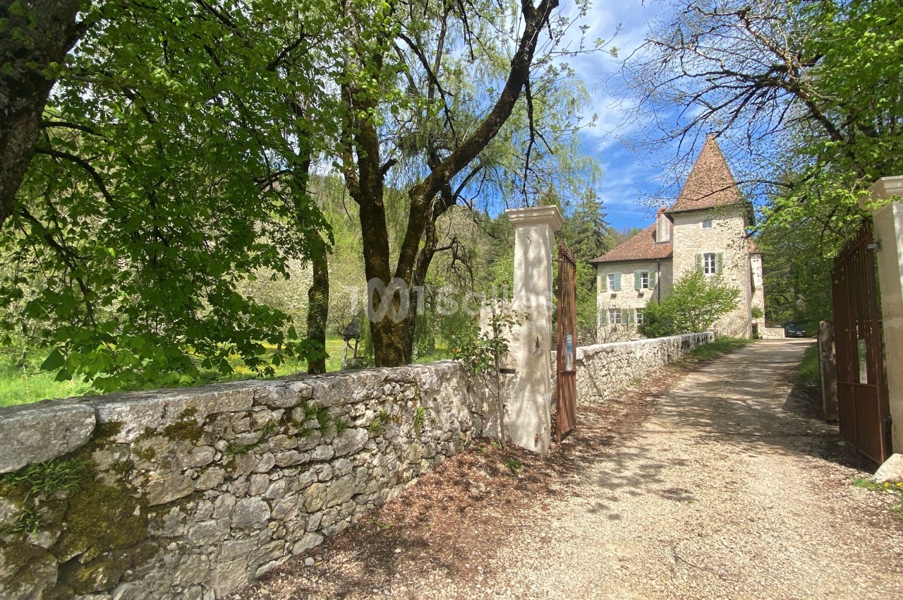 Entrée d'une propriété avec un chemin bordé de murs en pierre, menant à une maison ancienne entourée d'arbres.